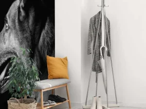 Outlet Duitse herdershond met een zwarte achtergrond fotobehang Tienerkamer | Dieren