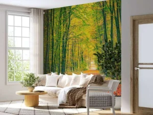 Sale Een bosweg in de herfst fotobehang Bloemen