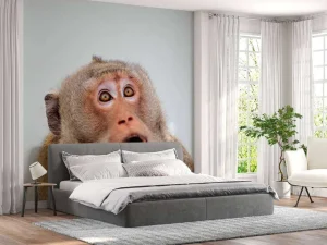 Discount Een verrast aapje fotobehang Dieren