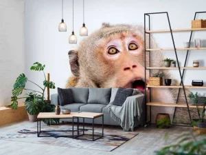 Discount Een verrast aapje fotobehang Dieren