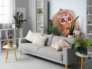 Discount Een verrast aapje fotobehang Dieren