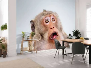 Discount Een verrast aapje fotobehang Dieren