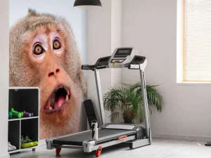 Discount Een verrast aapje fotobehang Dieren