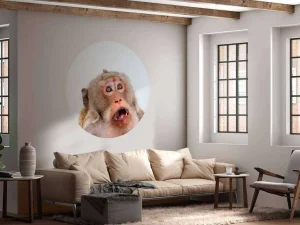 Discount Een verrast aapje fotobehang Dieren