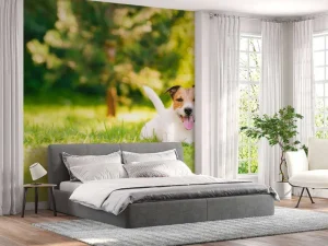 Discount Een vrolijke Jack Russell fotobehang Dieren