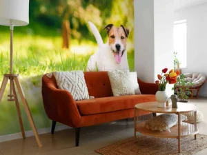 Discount Een vrolijke Jack Russell fotobehang Dieren