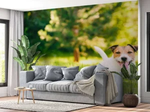 Discount Een vrolijke Jack Russell fotobehang Dieren
