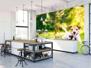 Discount Een vrolijke Jack Russell fotobehang Dieren