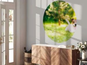 Discount Een vrolijke Jack Russell fotobehang Dieren