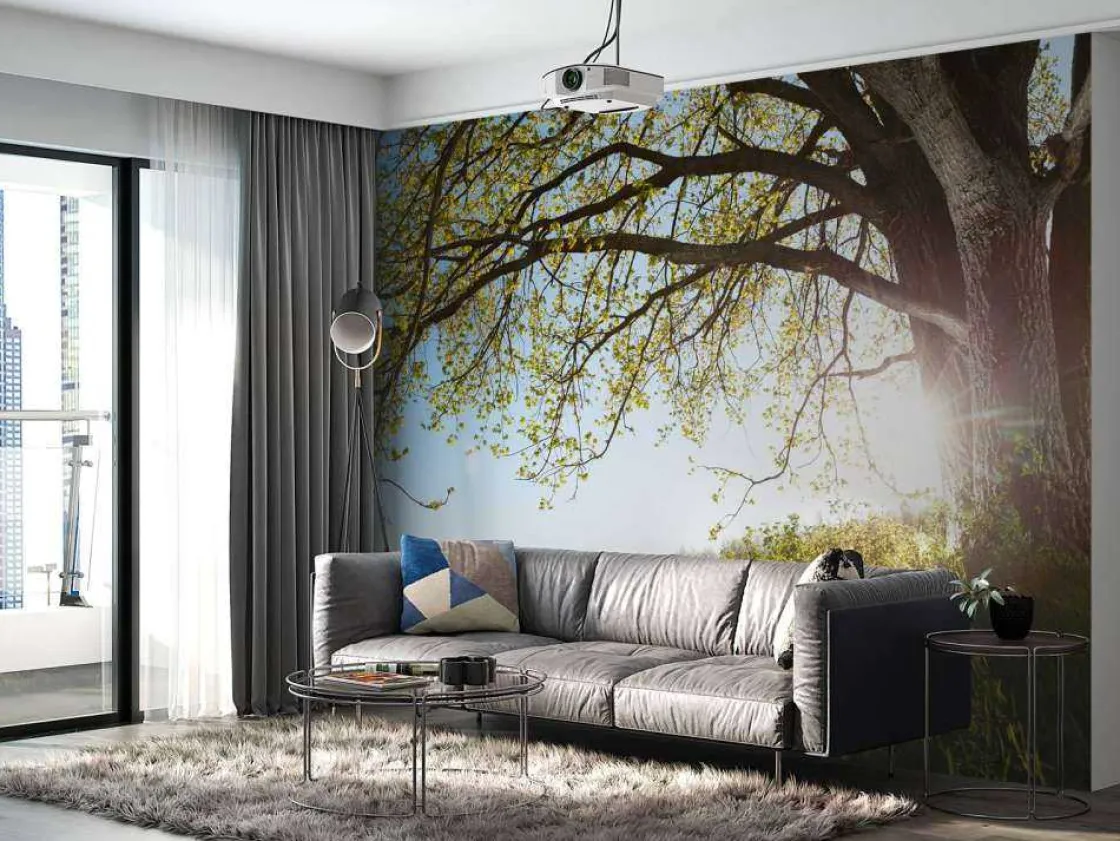 eik_in_gras_met_zonnige_a_10.webp Hot Eik in Gras met Zonnige Achtergrond fotobehang Bloemen