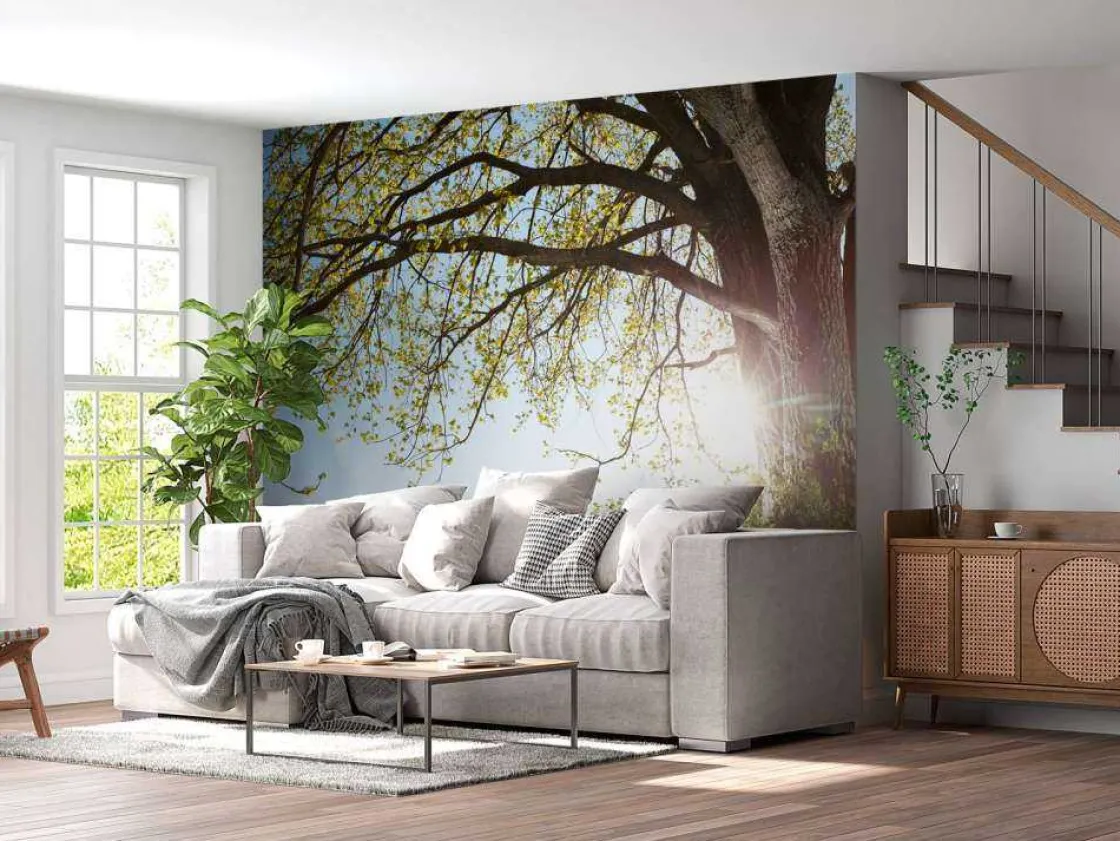 eik_in_gras_met_zonnige_a_2.webp Hot Eik in Gras met Zonnige Achtergrond fotobehang Bloemen