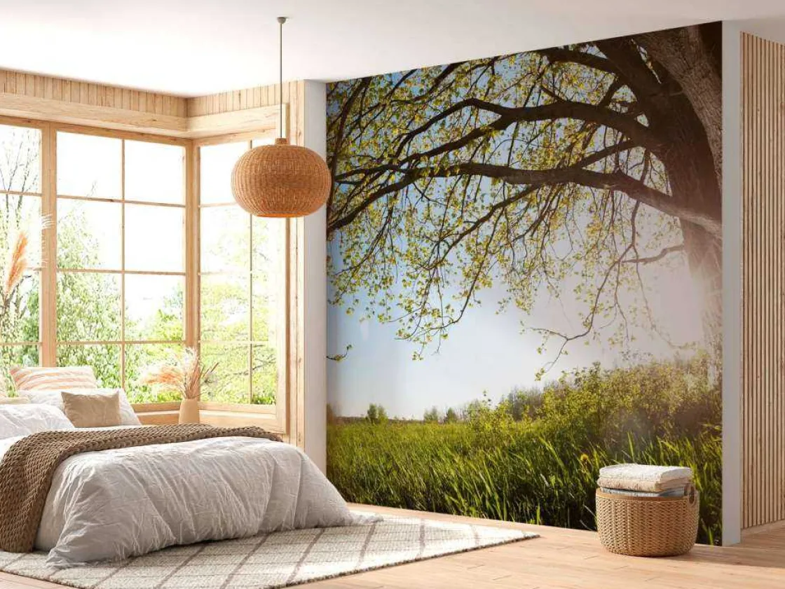 eik_in_gras_met_zonnige_a_9.webp Hot Eik in Gras met Zonnige Achtergrond fotobehang Bloemen