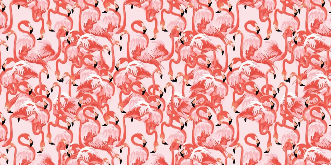 exotische_flamingos_0.webp Fashion Exotische flamingo's Dieren