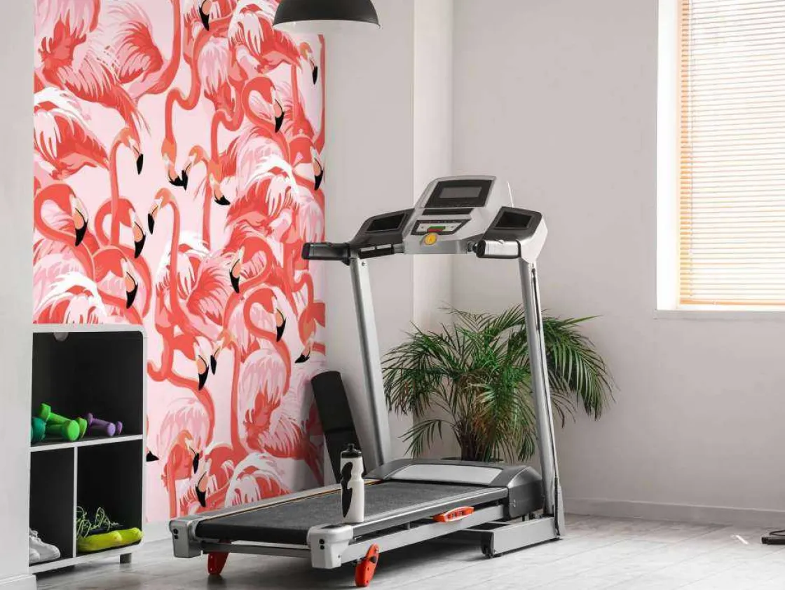 exotische_flamingos_7.webp Fashion Exotische flamingo's Dieren