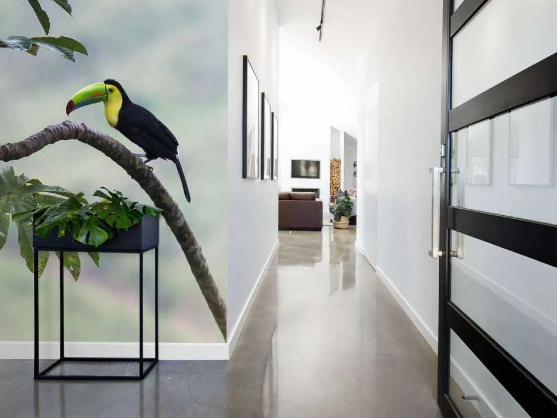 exotische_vogel_op_een_ta_4.webp Best Exotische vogel op een tak fotobehang Tienerkamer | Bloemen