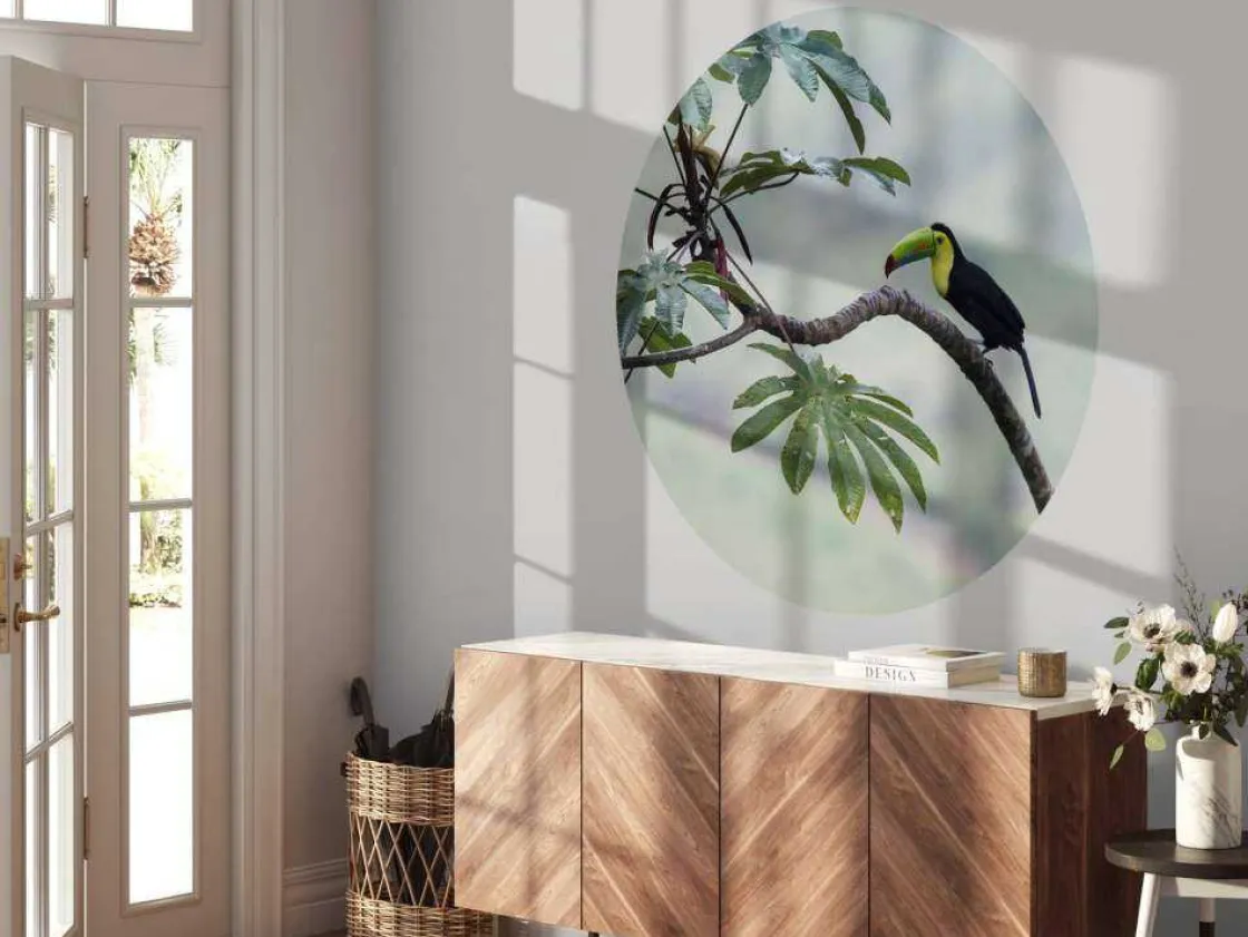exotische_vogel_op_een_ta_5.webp Best Exotische vogel op een tak fotobehang Tienerkamer | Bloemen