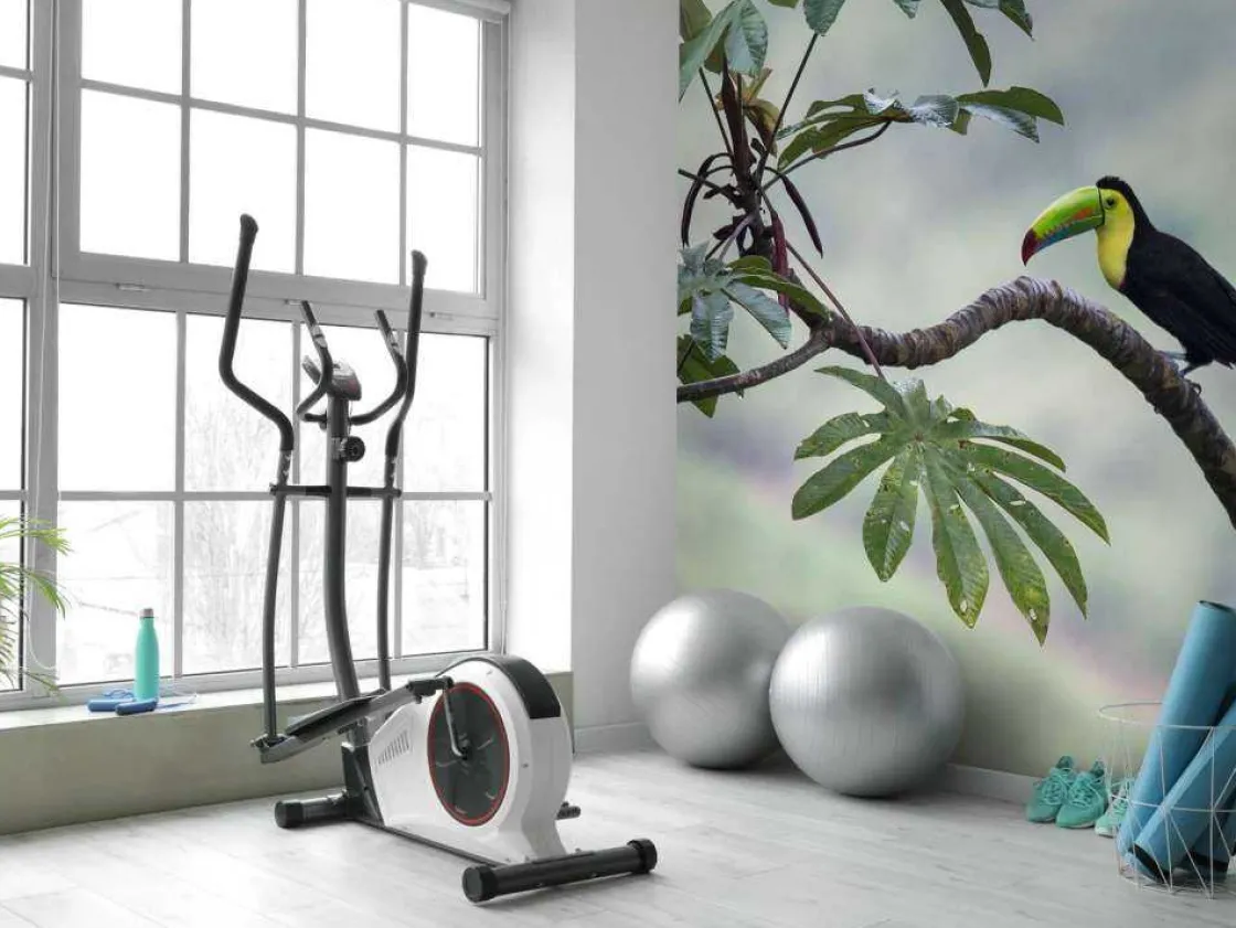 exotische_vogel_op_een_ta_8.webp Best Exotische vogel op een tak fotobehang Tienerkamer | Bloemen