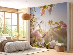 Hot Felle Zon achter Bloesem takjes fotobehang Bloemen