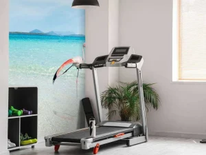 New Flamingo op Tropisch Strand fotobehang Dieren