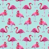 New Flamingo print met een blauwe achtergrond fotobehang Tienerkamer | Dieren