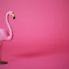 Outlet Flamingo van kunstof met een roze achtergrond fotobehang Tienerkamer | Dieren