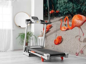 Outlet Flamingo's op een Caribisch eiland fotobehang Tienerkamer | Dieren
