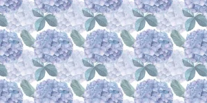 Discount Fotobehang - Dauwdruppel Hortensia's Bloemen