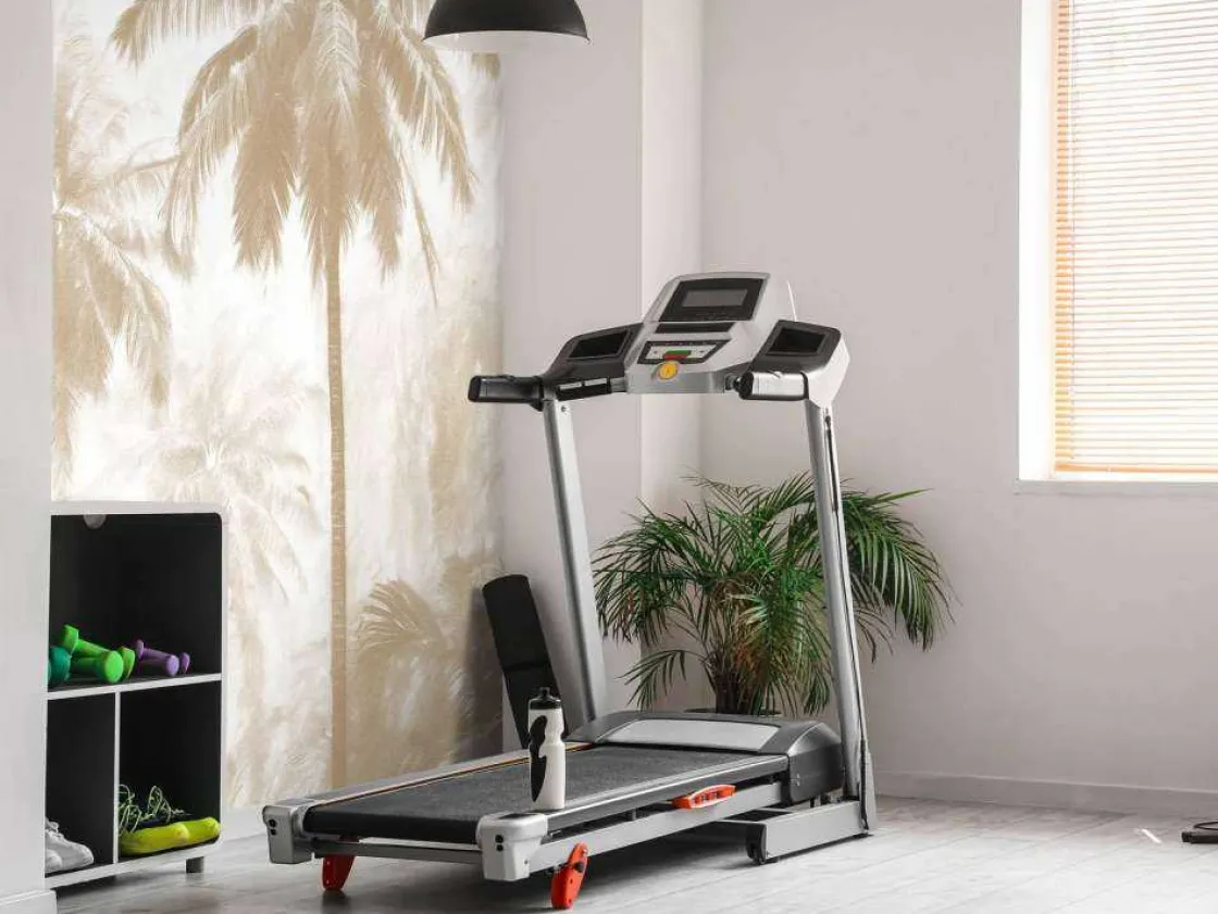 fotobehang__nevelige_palm_7.webp Fashion Fotobehang - Nevelige Palmwoud, taupe Landschappen