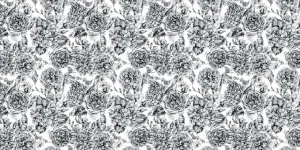 Sale Fotobehang - Zwart-Witte Bloementuin Bloemen