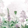 New Foxglove Flowers Bloemen