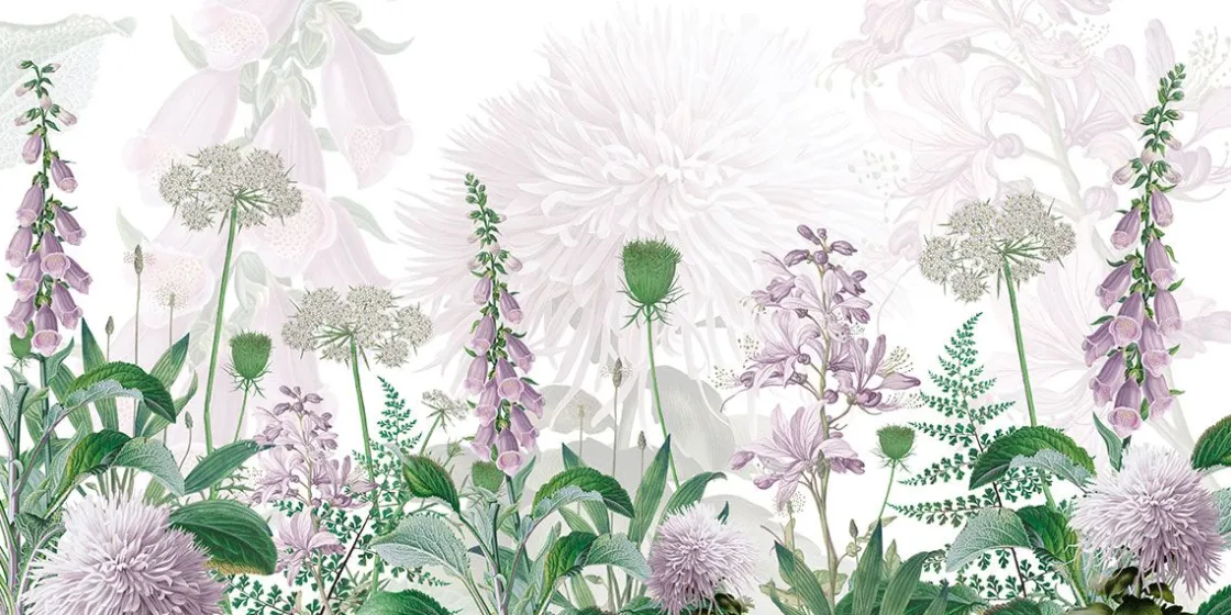foxglove_flowers_0.webp New Foxglove Flowers Bloemen