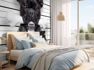 Fashion Franse Bulldog in de gevangenis fotobehang Kinderkamer | Dieren