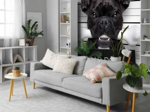 Fashion Franse Bulldog in de gevangenis fotobehang Kinderkamer | Dieren