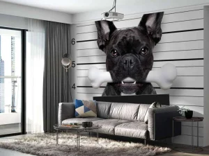 Fashion Franse Bulldog in de gevangenis fotobehang Kinderkamer | Dieren