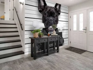Fashion Franse Bulldog in de gevangenis fotobehang Kinderkamer | Dieren