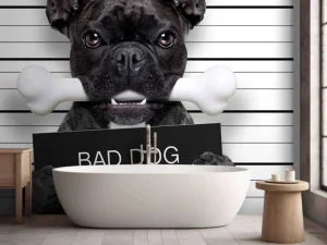 Fashion Franse Bulldog in de gevangenis fotobehang Kinderkamer | Dieren