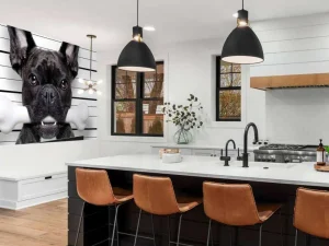 Fashion Franse Bulldog in de gevangenis fotobehang Kinderkamer | Dieren