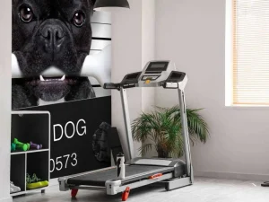 Fashion Franse Bulldog in de gevangenis fotobehang Kinderkamer | Dieren