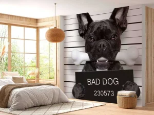 Fashion Franse Bulldog in de gevangenis fotobehang Kinderkamer | Dieren