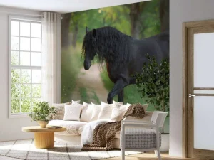 New Fries Paard op een Zandweg fotobehang Dieren