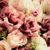 Hot Gekleurde rozen boeket fotobehang Bloemen