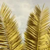 Outlet Gele palmboom bladeren fotobehang Bloemen