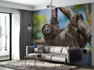 Fashion Gelukkige luiaard in het oerwoud fotobehang Dieren