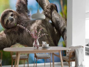 Fashion Gelukkige luiaard in het oerwoud fotobehang Dieren