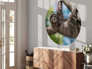 Fashion Gelukkige luiaard in het oerwoud fotobehang Dieren