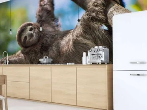 Fashion Gelukkige luiaard in het oerwoud fotobehang Dieren