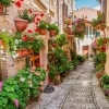 New Gezellig straatje met bloemen in Italië fotobehang Bloemen | Architectuur