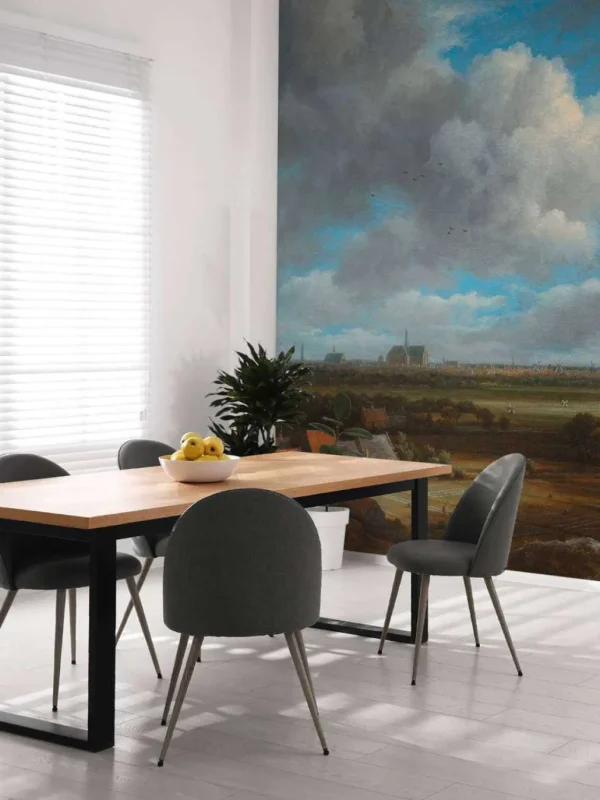 Fashion Gezicht op Haarlem uit het noordwesten fotobehang Kunst & Design