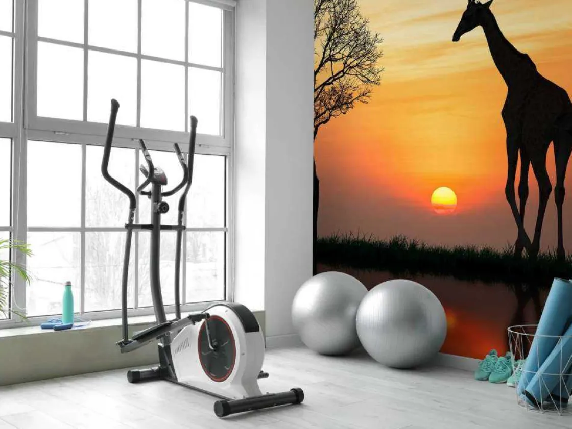 giraffe_achtergrond_met_z_7.webp Hot Giraffe achtergrond met zonsondergang fotobehang Dieren