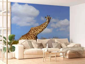 Discount Giraffe met grappige houding fotobehang Dieren